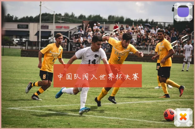 中国队闯入世界杯决赛
