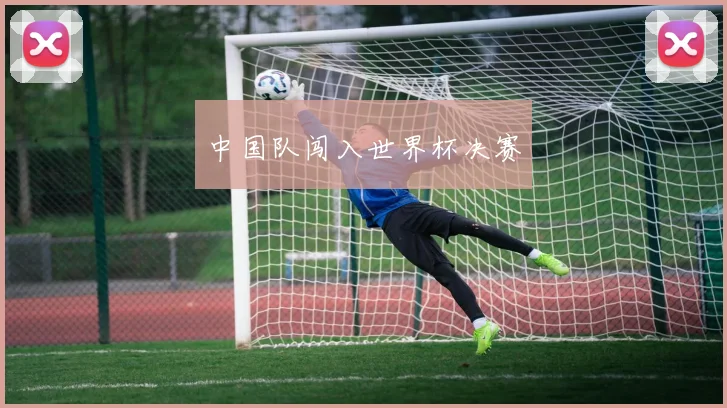 中国队闯入世界杯决赛
