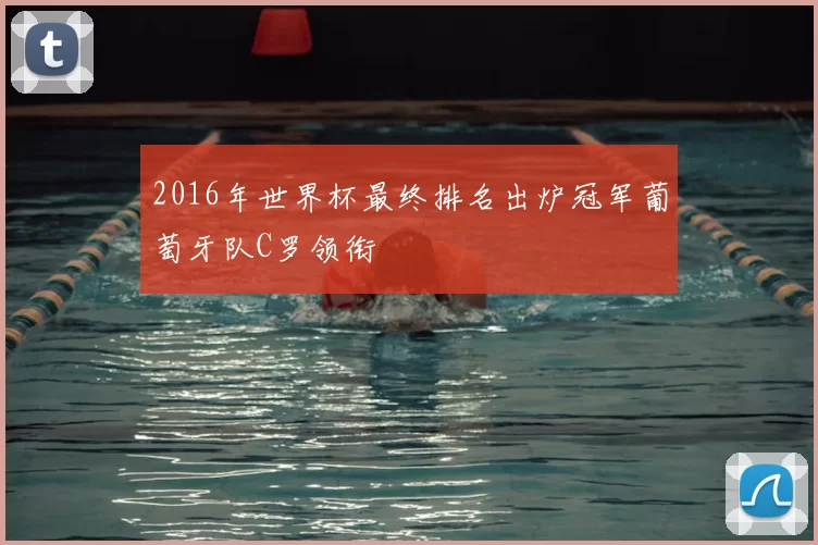 2016年世界杯最终排名出炉冠军葡萄牙队C罗领衔